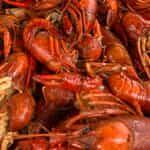 Lb Crawfish