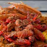0.5 Lb Snow Crab Legs & Crawfish