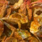 1 CLST Dungeness
