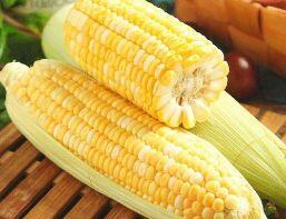 Corn On Cob